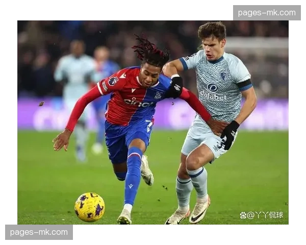 伯恩茅斯美国国脚亚当斯未入选国家队，国际比赛日后方回归